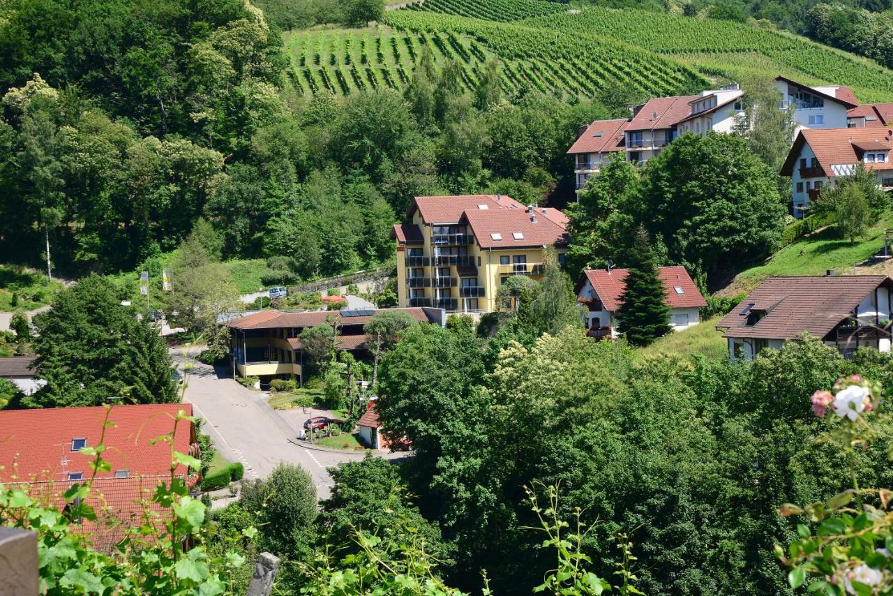 Residence Am Weinberg / Travellers Hotelbetriebs Gmbh Sasbachwalden Esterno foto