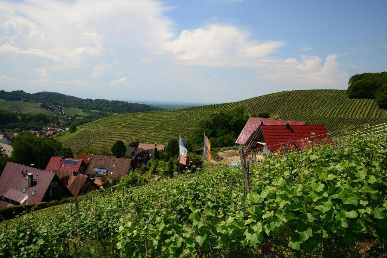 Residence Am Weinberg / Travellers Hotelbetriebs Gmbh Sasbachwalden Esterno foto