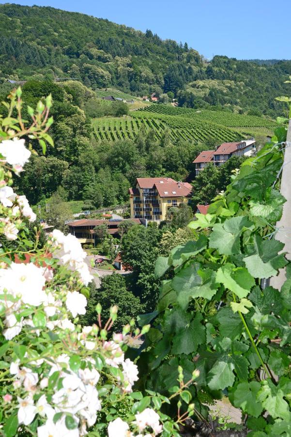 Residence Am Weinberg / Travellers Hotelbetriebs Gmbh Sasbachwalden Esterno foto
